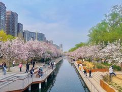-海棠花溪(元大都城垣遗址公园)