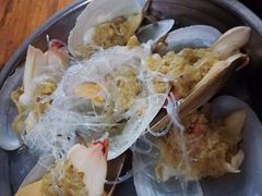 -八一湛江生蚝(文明东路总店)