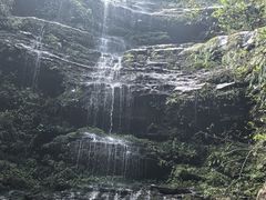 -碧峰峡风景区