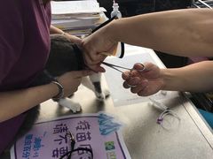-荔康动物医院(康王北路店)