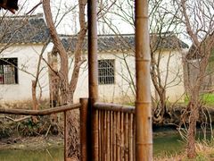 -溱湖国家湿地公园