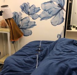 -DEM缔怡美科技美容