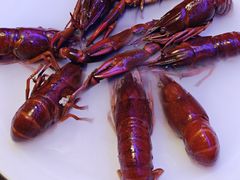 -红盔甲·小龙虾(定西路店)