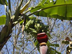 -七仙岭君澜度假酒店
