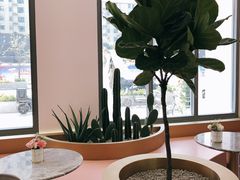 靠窗位-蜜思琪蛋糕(民生路店)