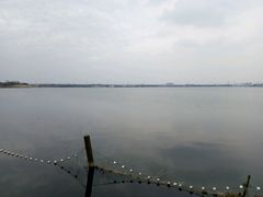 -鹅湖玫瑰文化园