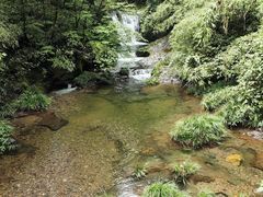 -龙苍沟森林公园