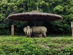 -宁波野生动物园