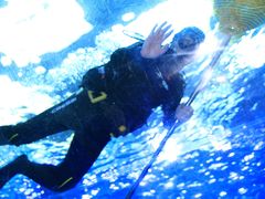 -哈尔滨波塞冬海底世界