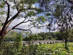 -星湖旅游景区七星岩