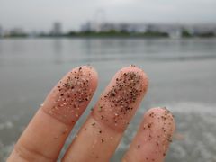 -台场海滨公园船码头