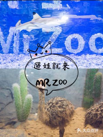 魔都春日遛娃 和小动物们零距离玩耍