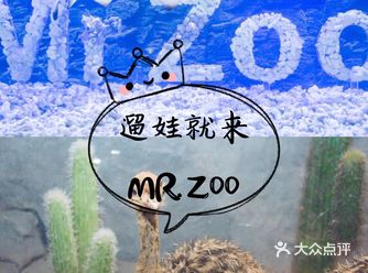 魔都春日遛娃 和小动物们零距离玩耍