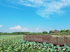 -上海海湾国家森林公园