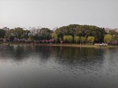 -新江湾城公园