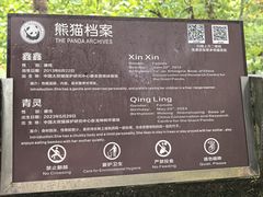-都江堰中华大熊猫苑