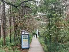 -帽儿山国家森林公园