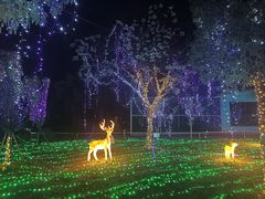 -安徽大青山野生动物世界