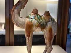 -旅顺博物馆