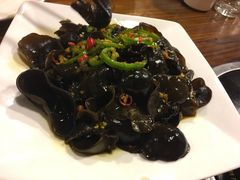 -百利鸽王(紫薇路店)