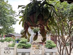 -顺德了能馆(虎门店)