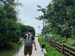 -铁山坪森林公园