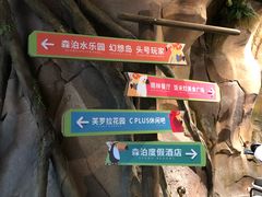 -杭州开元森泊度假乐园