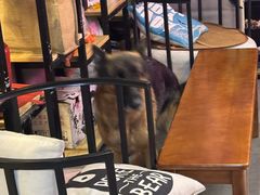 -KingBull私教健身&格斗订制(龙井商业中心店)