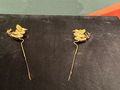-长沙简牍博物馆