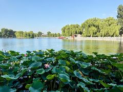 -后海16号·北京私房菜