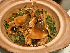 镇江秧草烧豚鱼-永安鱼庄·镇江菜(东吴路店)