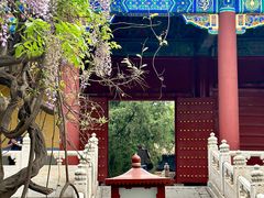 -北京国子监胡同