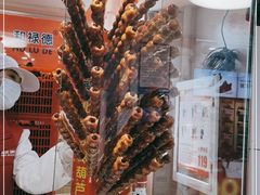 -和禄德冰糖葫芦