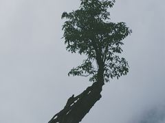 -硗碛藏寨·神木垒景区