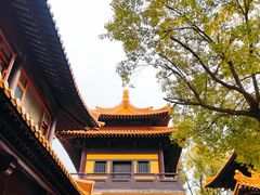 -亭林园-华藏寺