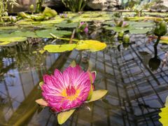 -国家植物园