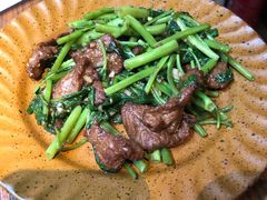 沙茶牛肉炒空心菜-星期天的电球引换所