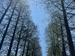 -东湖落雁景区