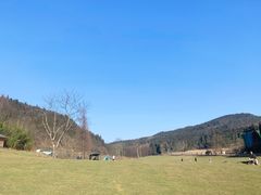 -武陵山森林公园