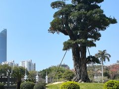 -南普陀素菜馆