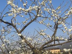 -驿舍·民國老营房院子私房菜(科学会堂店)