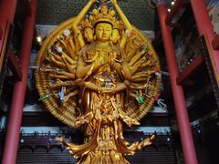 -上海东林寺(金山区)