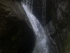 -牛背梁国家森林公园