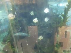 -鸿通城购物中心