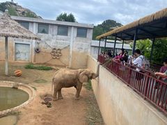 -西霞口神雕山野生动物世界