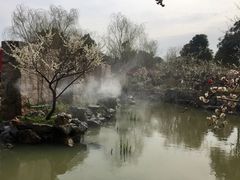 -香雪海