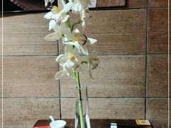 -金枝玉叶上海人家食府(三里河店)