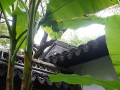 -秋霞圃