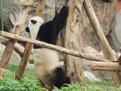 -香港海洋公园