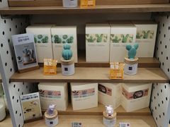 -Olive Young(明洞旗舰店)